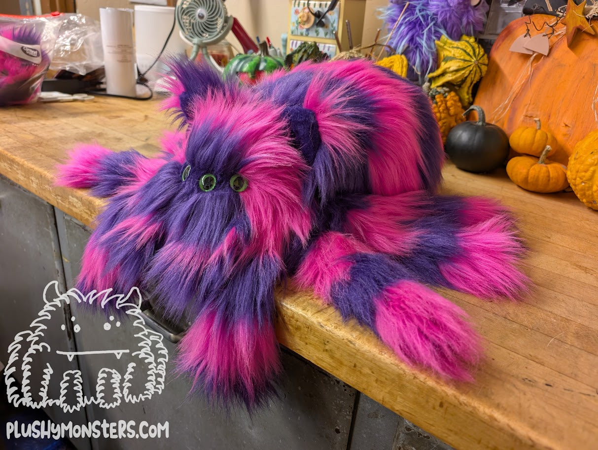 Kim's Lil' Chessy! - Cheshire Cat Spider in Disguise! - Weighted Lil' Guy