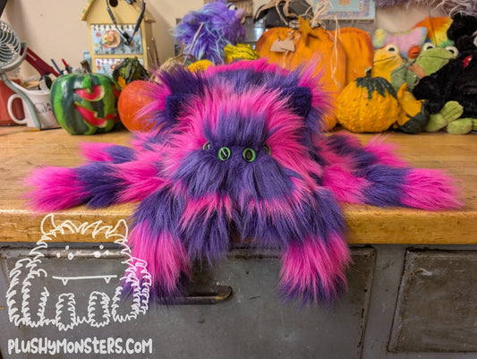 Kim's Lil' Chessy! - Cheshire Cat Spider in Disguise! - Weighted Lil' Guy