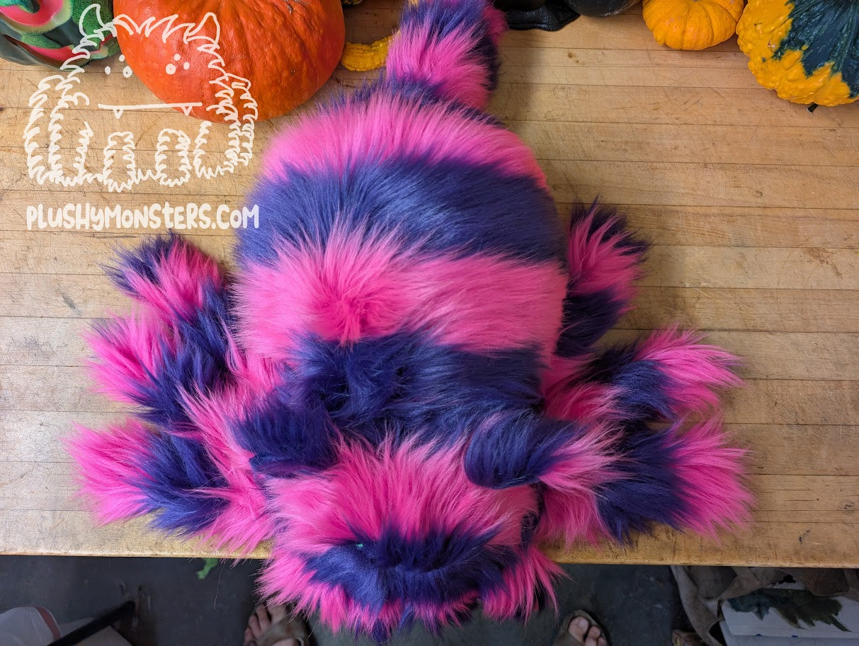 Lil' Chessy (Purple Faces!)! - Cheshire Cat Spider in Disguise - Weighted Lil' Guy