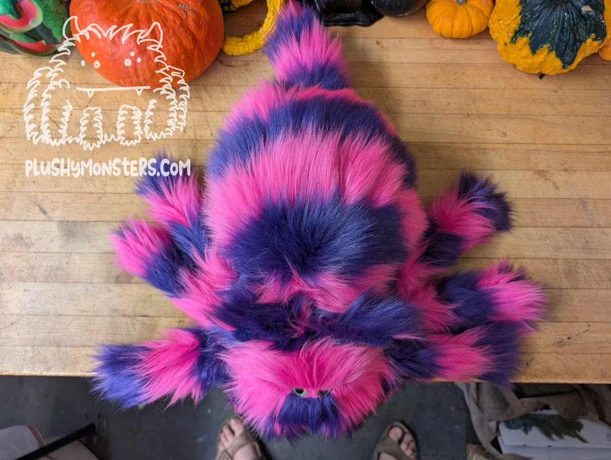 Lil' Chessy (Pink Face)! - Cheshire Cat Spider in Disguise- Weighted Lil' Guy