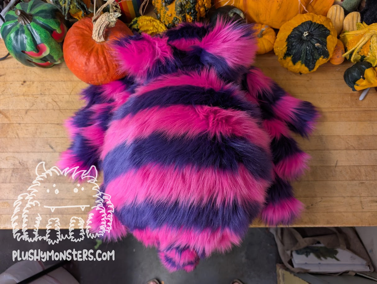 Chessy! Cheshire Cat Spider in Disguise - Weighted Middlin'