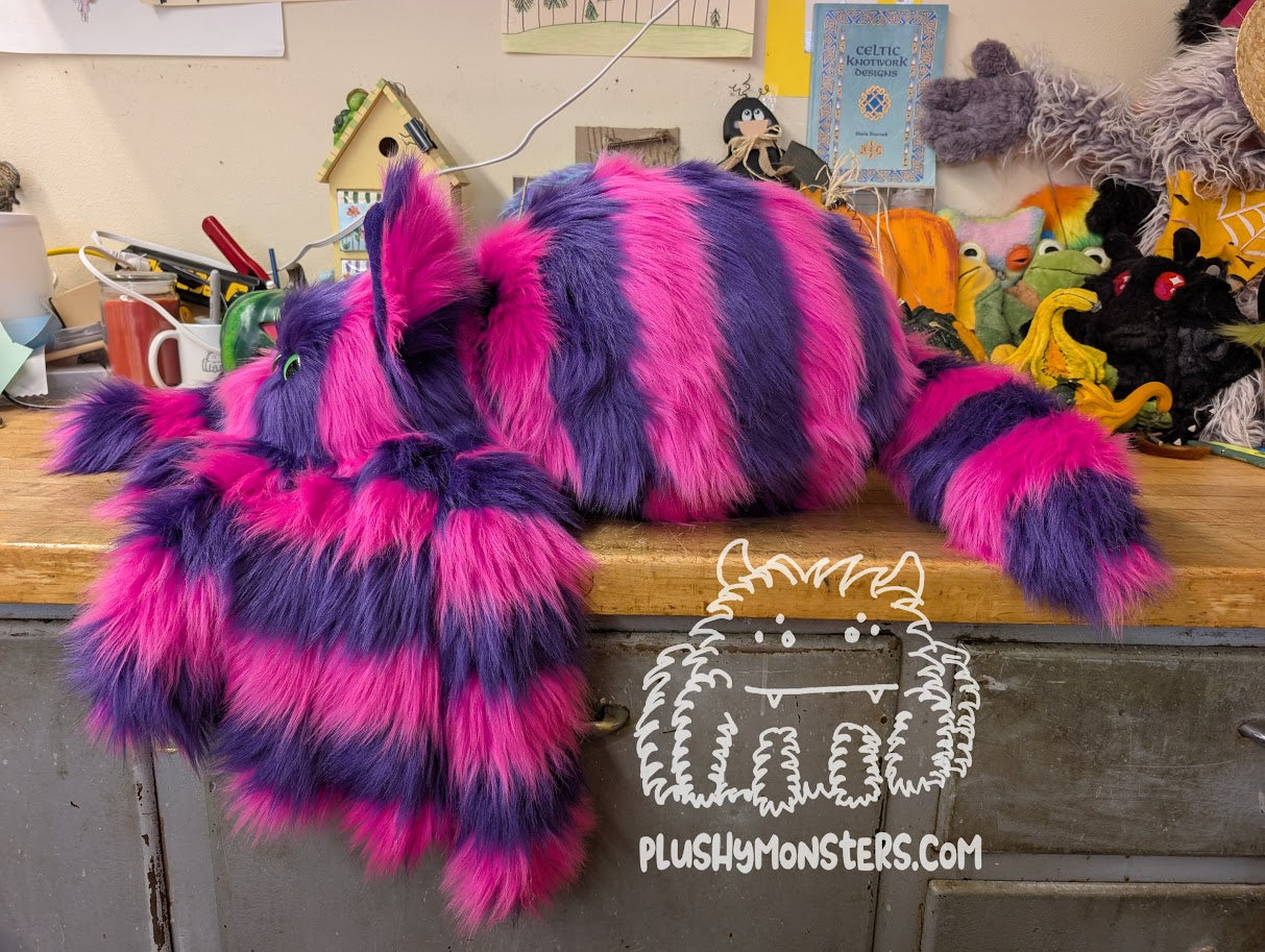 Chessy! Cheshire Cat Spider in Disguise - Weighted Middlin'