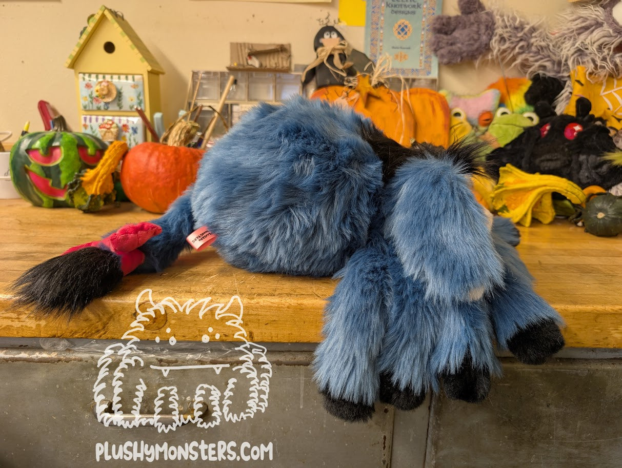Dawn's Adorable Eeyore Spider! 🥰 - Donkey Spider in Disguise - Weighted Lil' Guy