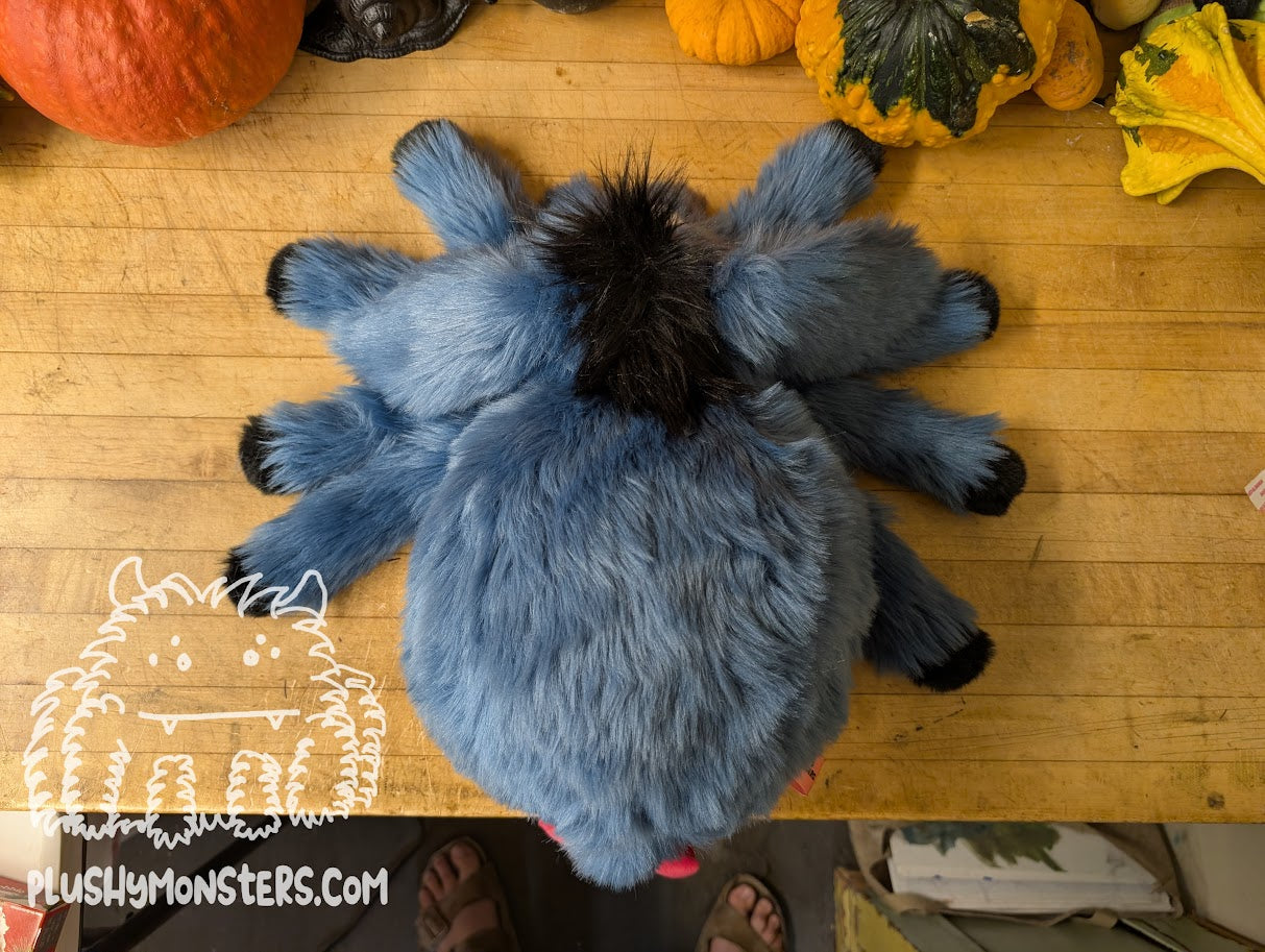 Dawn's Adorable Eeyore Spider! 🥰 - Donkey Spider in Disguise - Weighted Lil' Guy