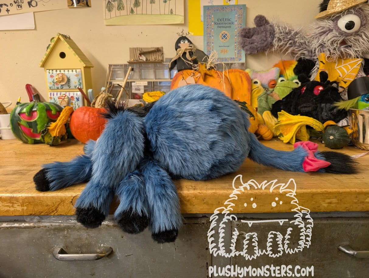 Dawn's Adorable Eeyore Spider! 🥰 - Donkey Spider in Disguise - Weighted Lil' Guy