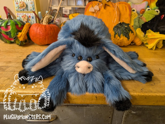 Dawn's Adorable Eeyore Spider! 🥰 - Donkey Spider in Disguise - Weighted Lil' Guy