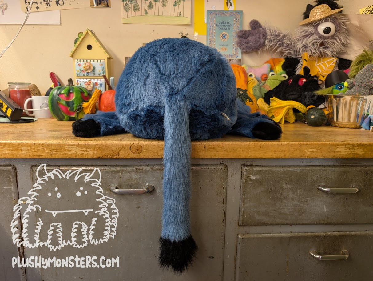 Cadonkydonk! - Donkey Spider in Disguise - Weighted Middlin'