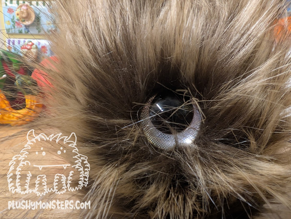 Gallagher Scrappy with Giant Eye!