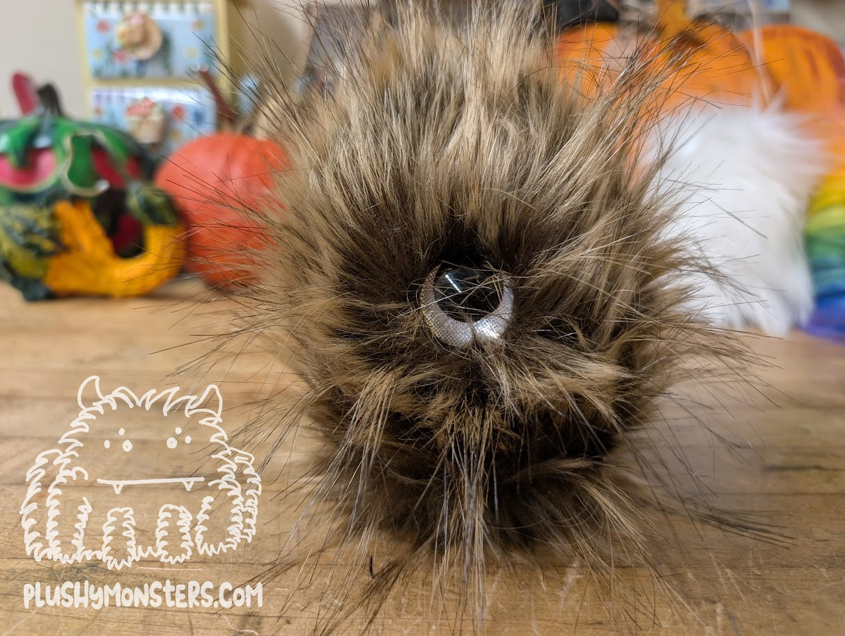 Gallagher Scrappy with Giant Eye!