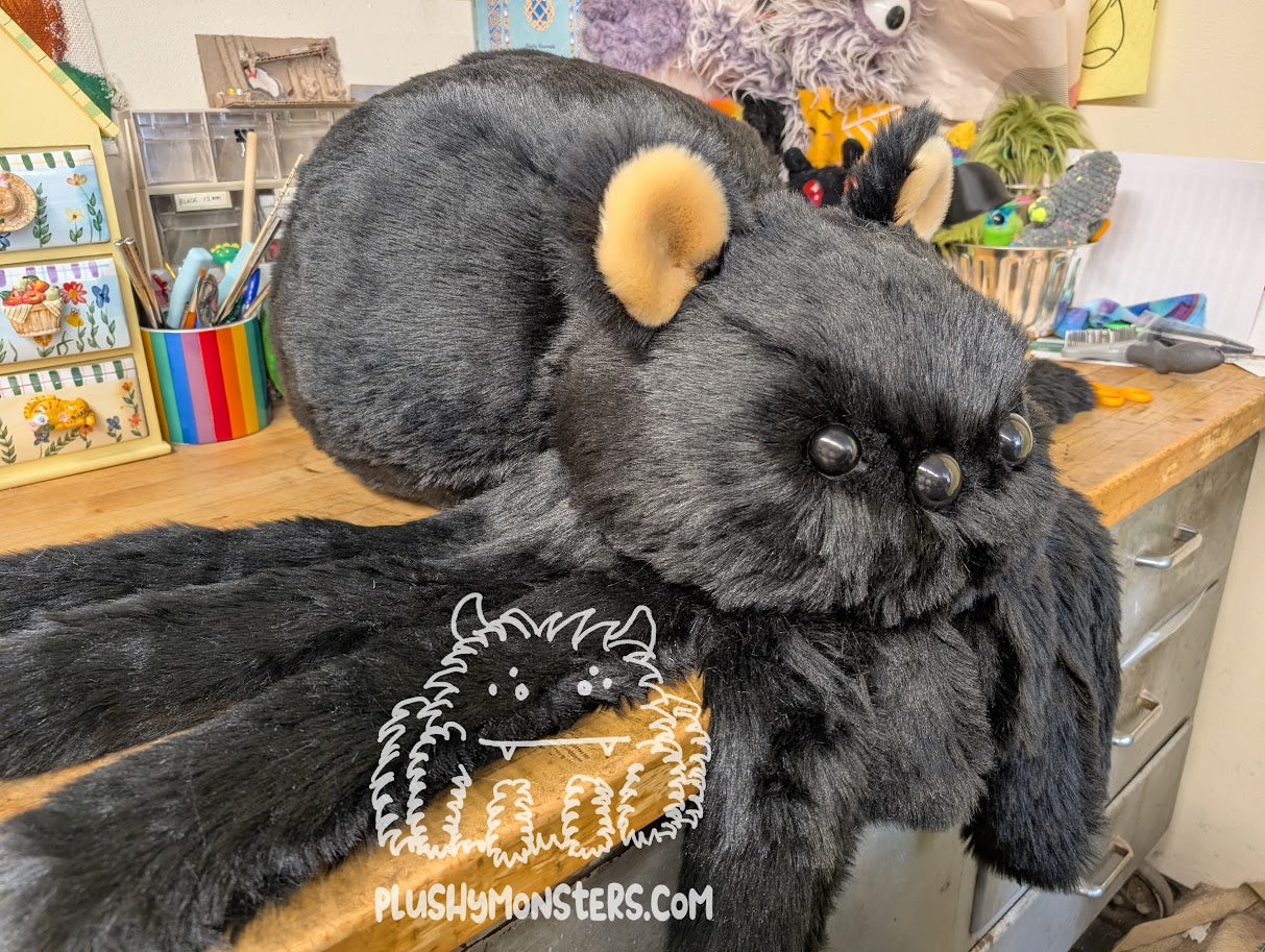 Big Able! Black Bear Spider in Disguise - Weighted Big'n