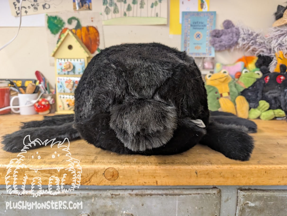 Able! Black Bear Spider in Disguise - Weighted Middlin'