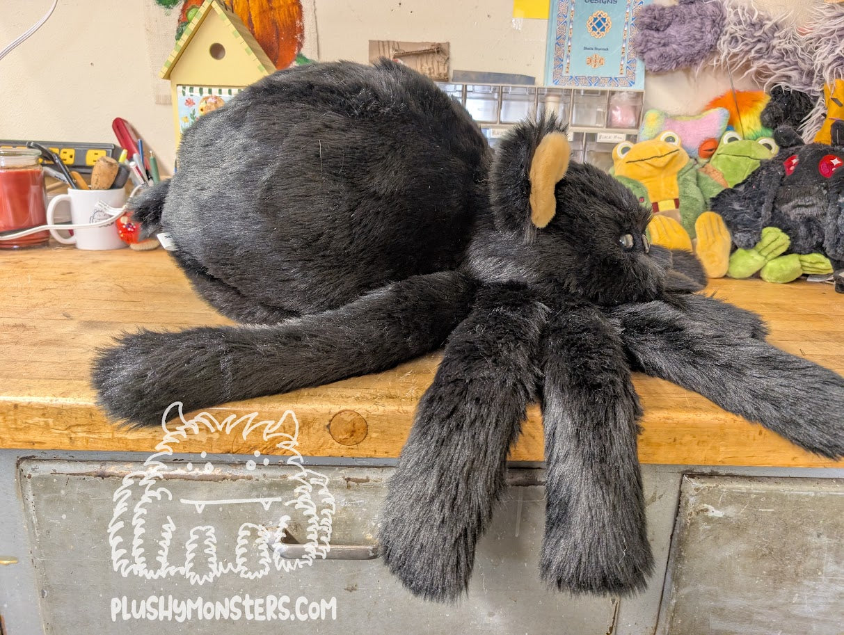 Able! Black Bear Spider in Disguise - Weighted Middlin'