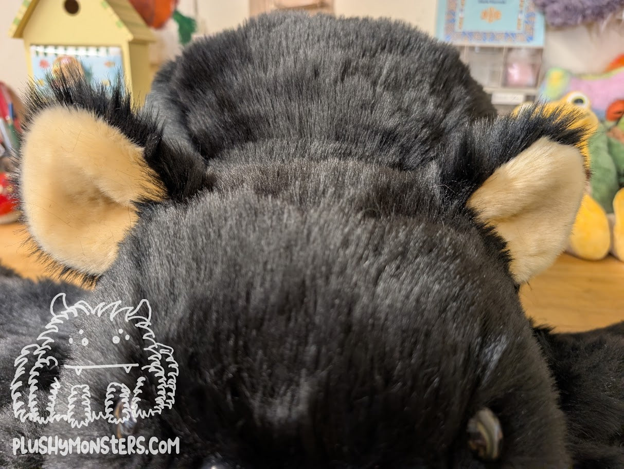 Able! Black Bear Spider in Disguise - Weighted Middlin'