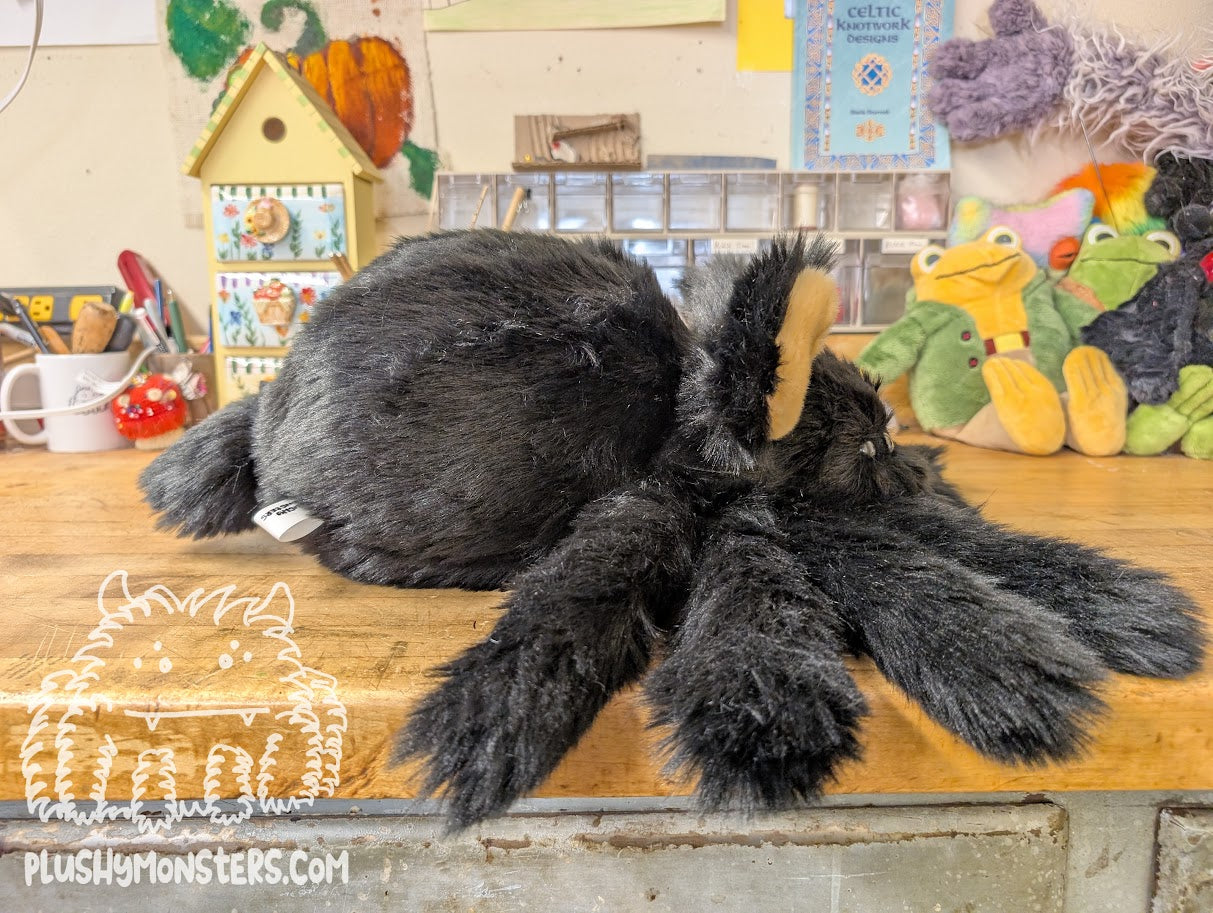 Lil' Able! Black Bear Spider in Disguise - Weighted Lil' Guy
