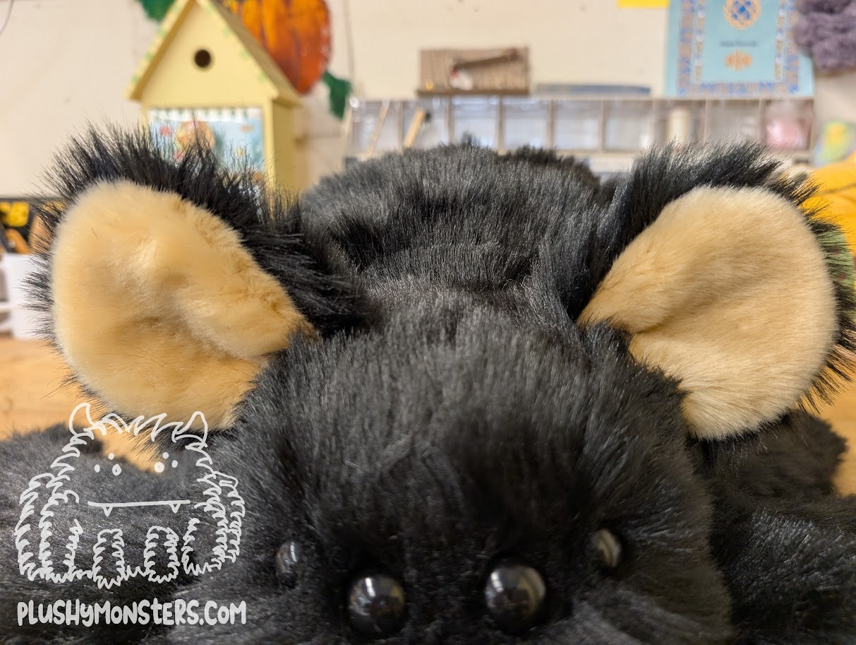 Lil' Able! Black Bear Spider in Disguise - Weighted Lil' Guy