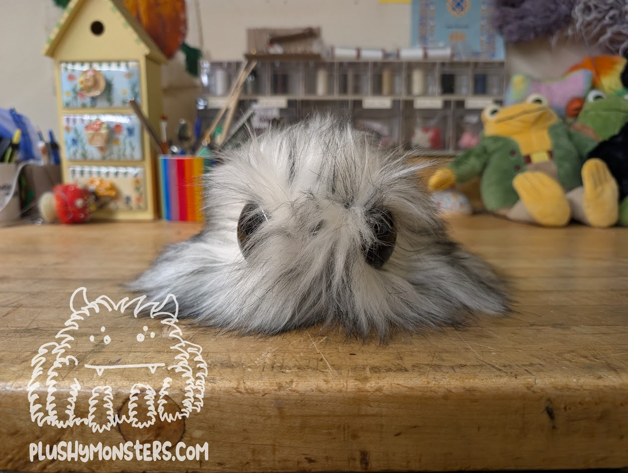 Tooter with Huge Eyes! - Frugomination