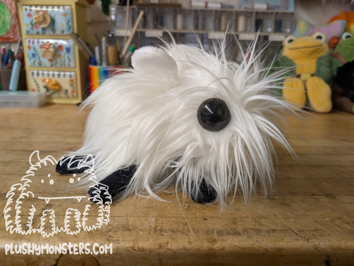 Stumpy White Mongolian Fly Guy! - Bugomination