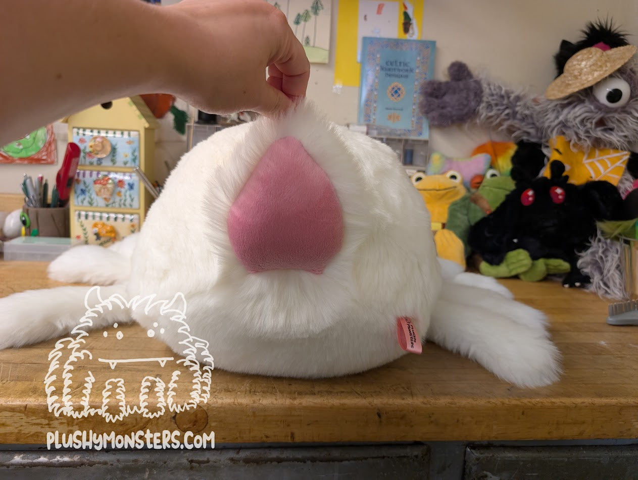 Albie! - Albino Bunny Spider in Disguise - Weighted Middlin'