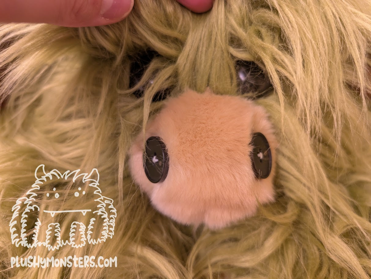 Marshall and Carl! Highland Cow Spider in Disguise and Gnome! - Weighted Middlin'
