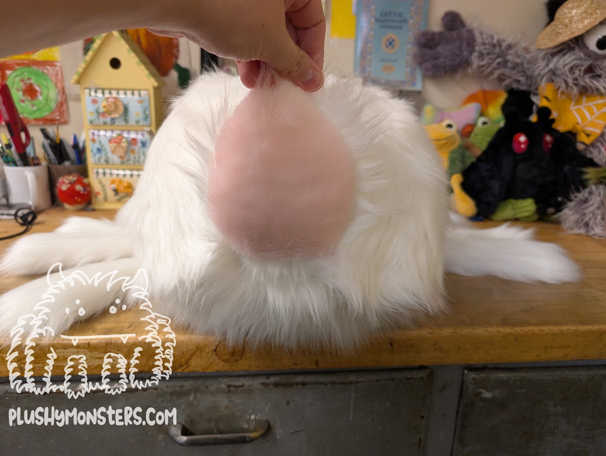 Sugar Bunny! Bunny Spider in Disguise! - Weighted Middlin'