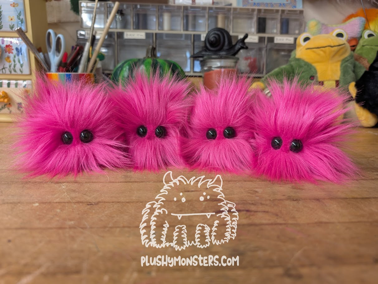 Fuchsia Tiny Boi!