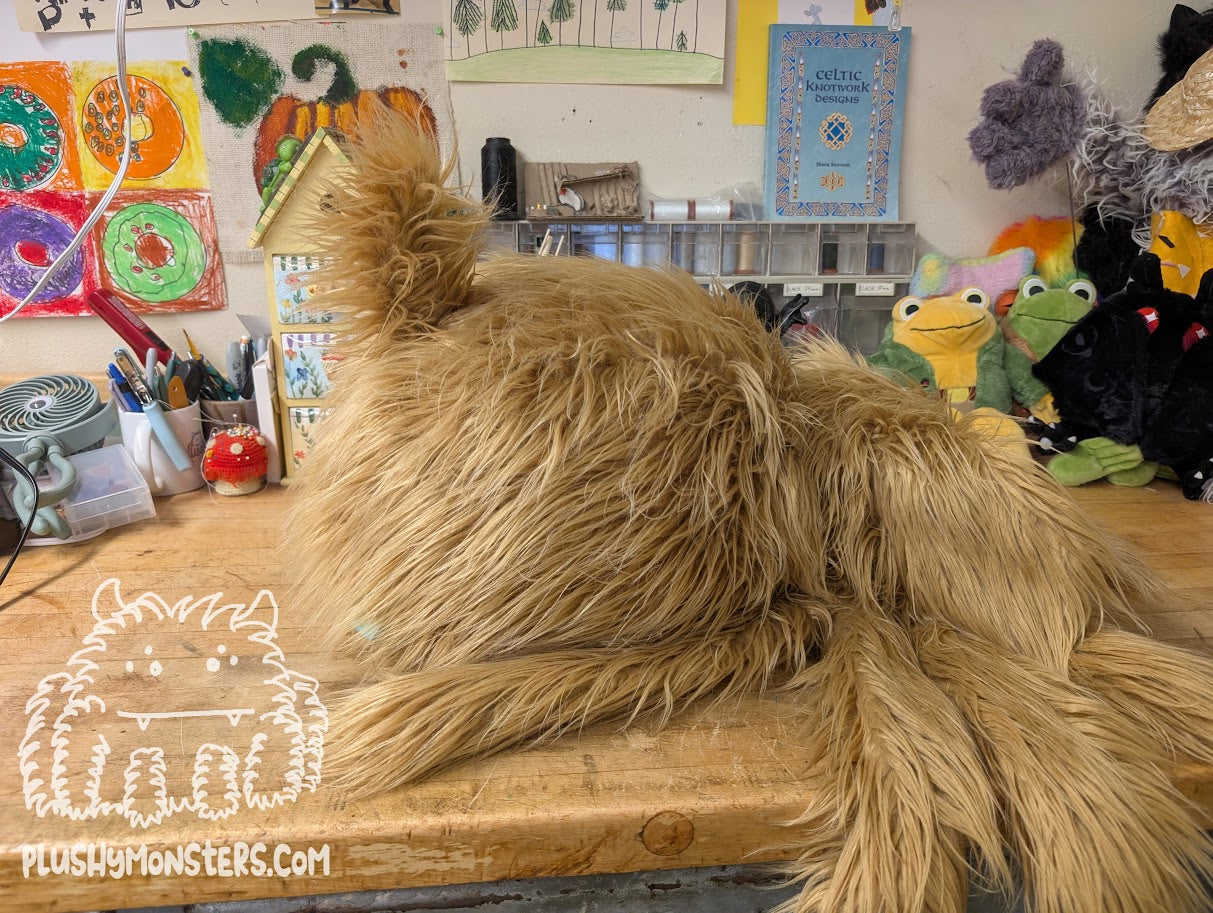Delilah Shaggy Dog Spider in Disguise! - Weighted Middlin'