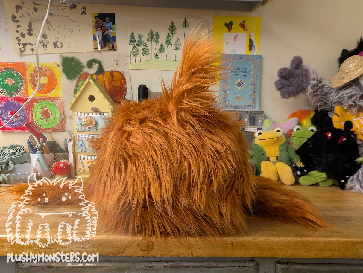 Hazelnut Shaggy Dog Spider in Disguise! - Weighted Middlin'