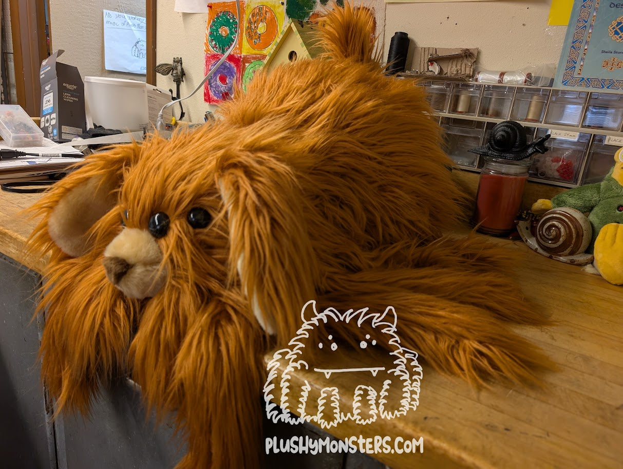 Hazelnut Shaggy Dog Spider in Disguise! - Weighted Middlin'