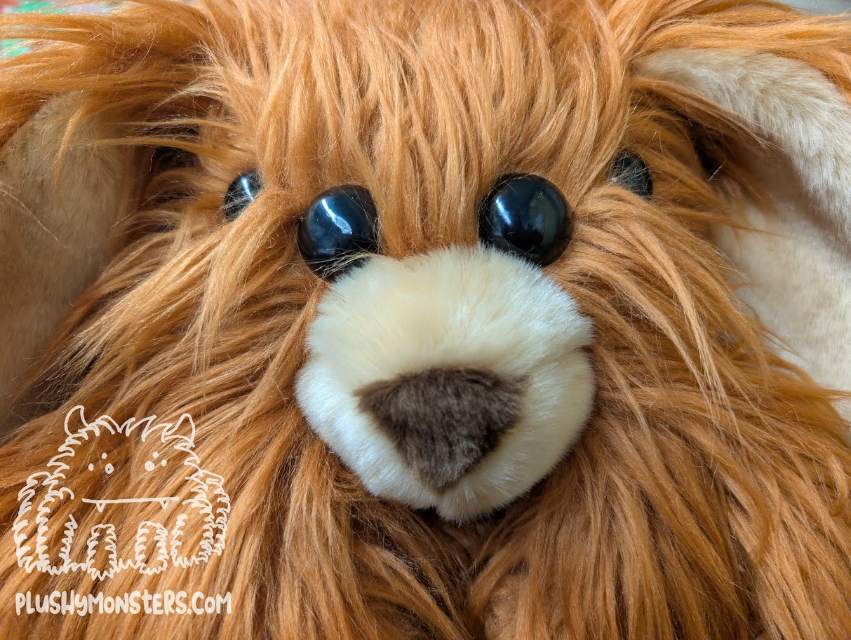 Hazelnut Shaggy Dog Spider in Disguise! - Weighted Middlin'