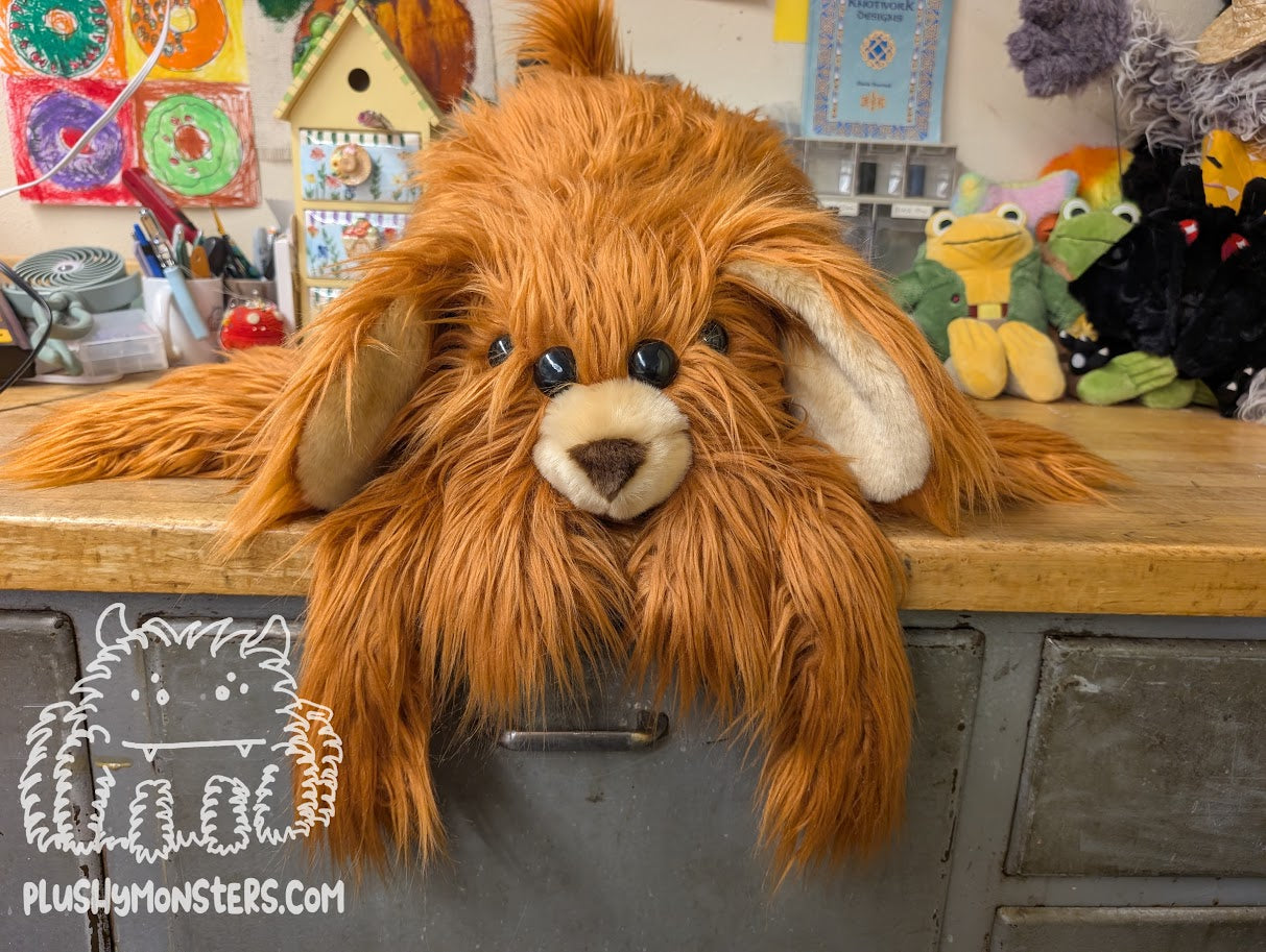 Hazelnut Shaggy Dog Spider in Disguise! - Weighted Middlin'