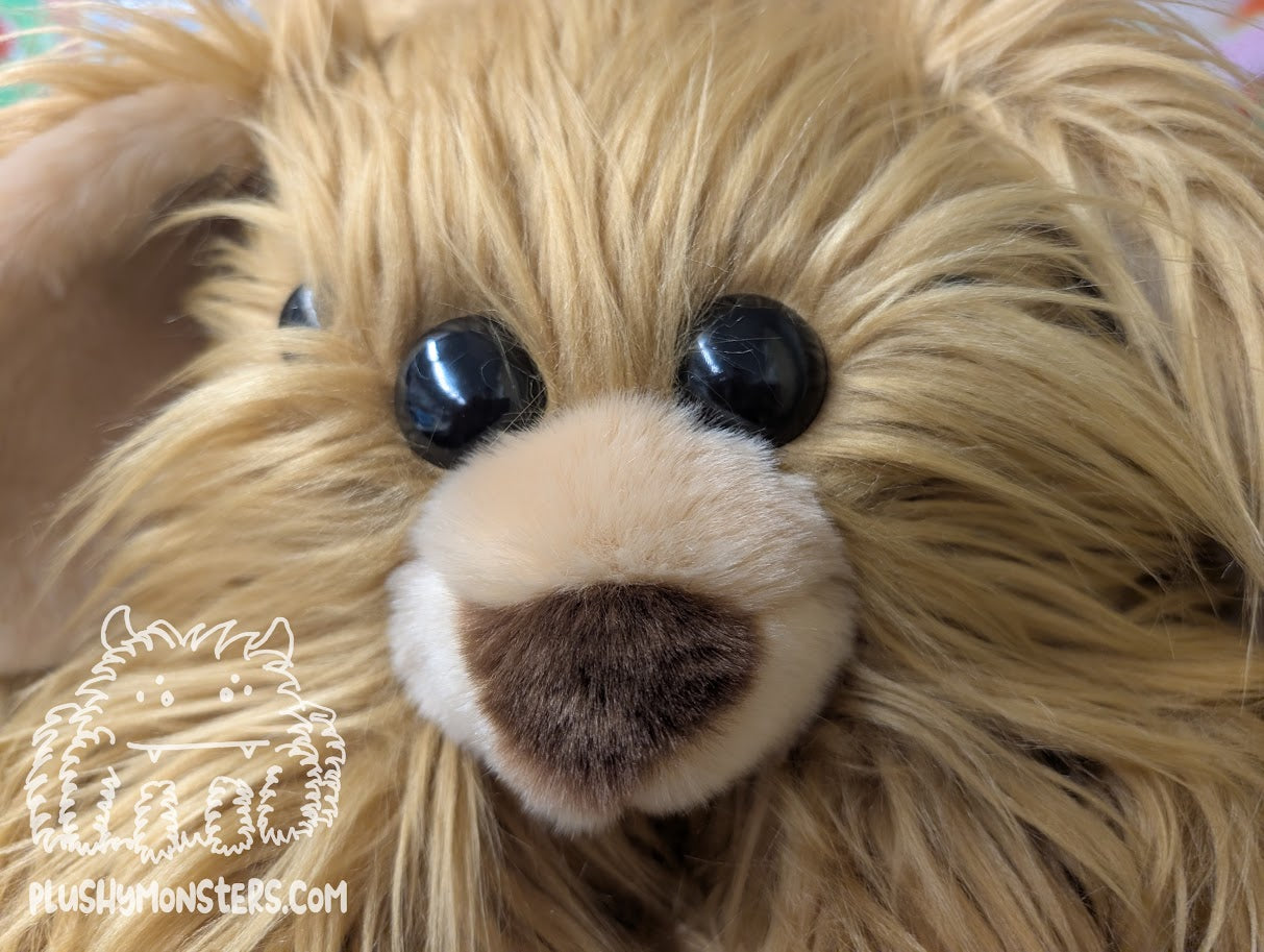 Samson Shaggy Dog Spider in Disguise! - Weighted Middlin'