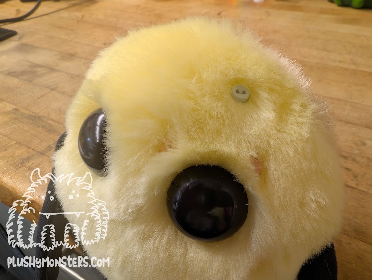 Yellow Sugar with Pastel Sprinkles! - Cookie Buddy
