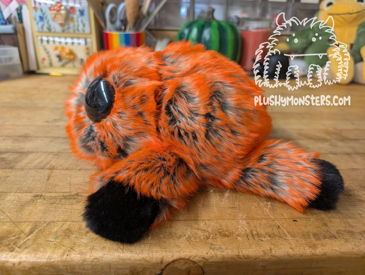Icarus Gumbus! With Ginormous Eyes!