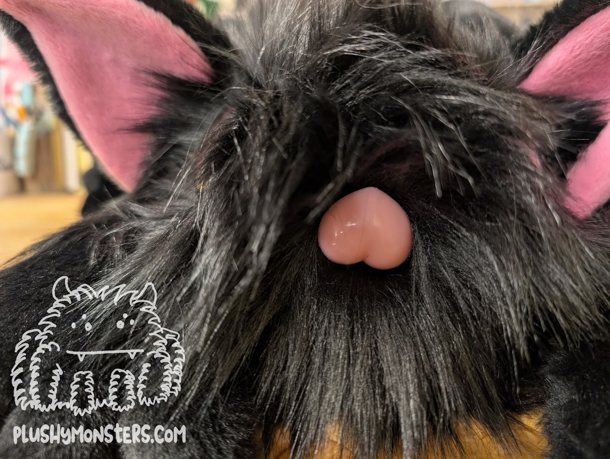 Tommy Bat! - Weighted Nerd. Weighted Nerd in Disguise? 🤔