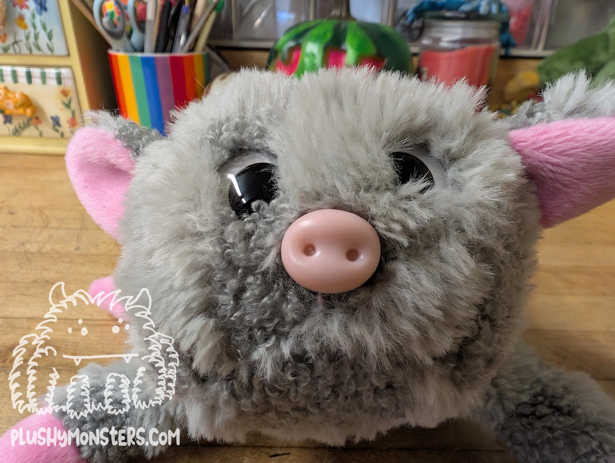 Petunia! A Pig!