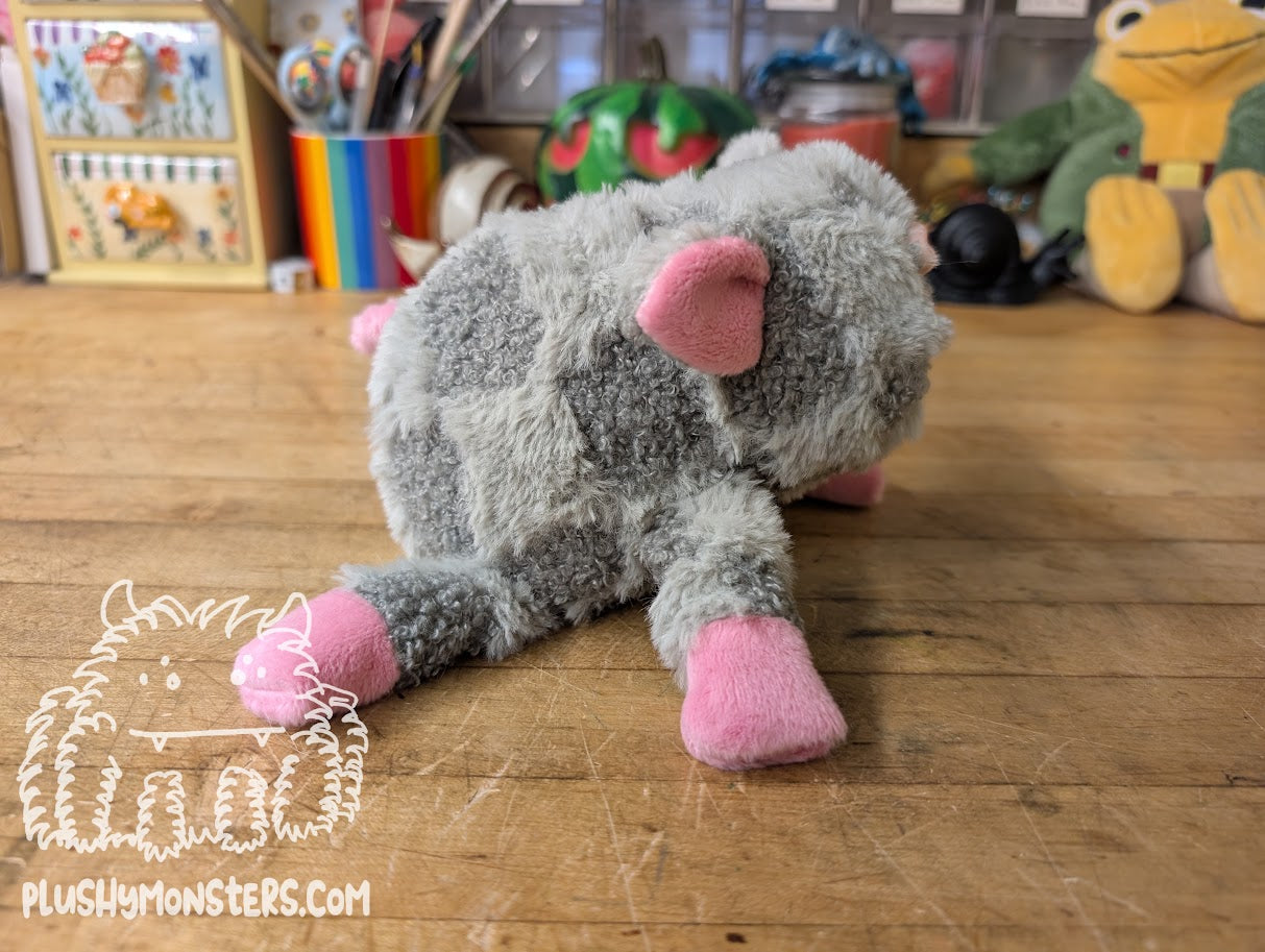 Petunia! A Pig!
