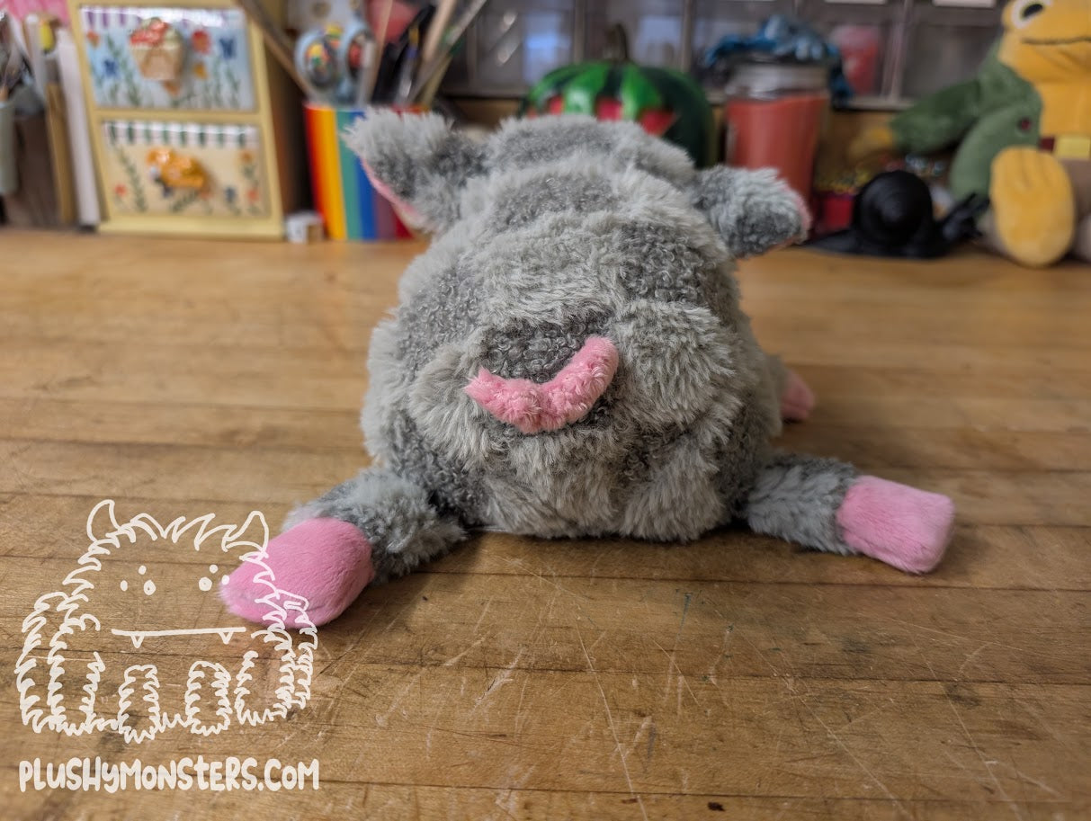 Petunia! A Pig!