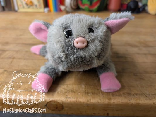 Petunia! A Pig!