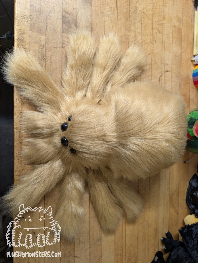 Lil' Benji! With Oversized Eyes! - Weighted Lil' Guy